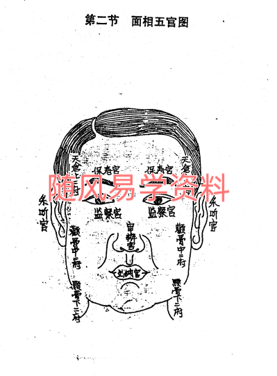 李树哲   手面相绝招大公开65页