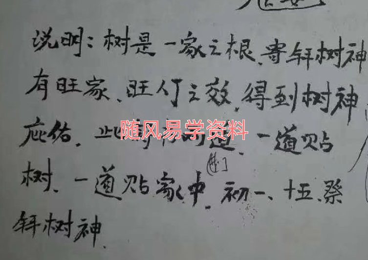 神奇发财树视频+图片