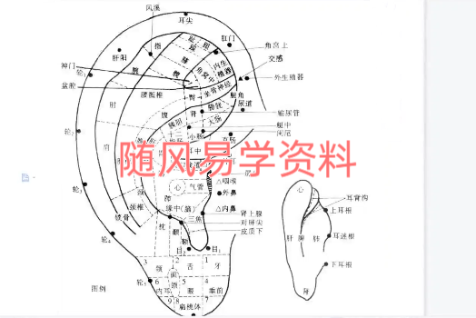 忆玥   桃花灿灿面相课32集视频