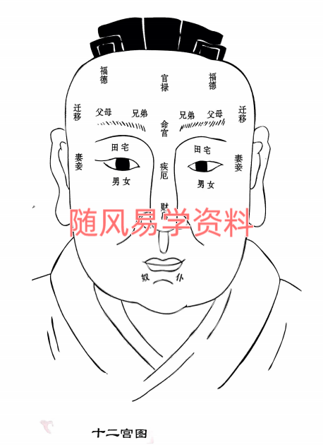 鹤鹤 道家识人术视频27集+课件