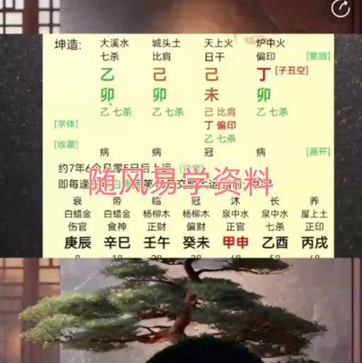 德啸  龙虎山夏氏君臣命理速断八字财富,学历,婚姻子女及原局流向思路解析视频2集