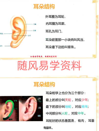 贾继茂盛   麻衣神相四艺通玄高阶面相篇，高阶讲义笔记444页