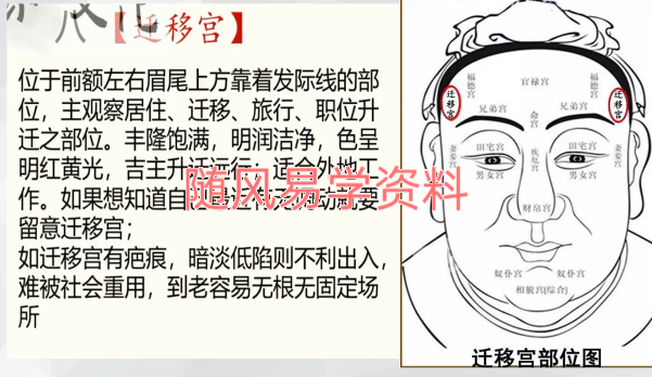 启元    快速识人智慧40集视频