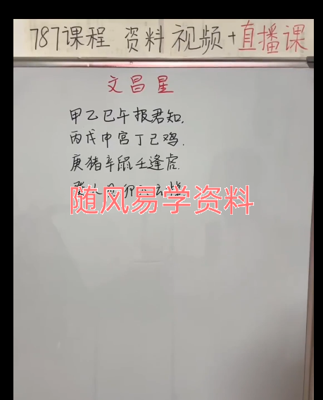 元巳  八字基础课60集视频