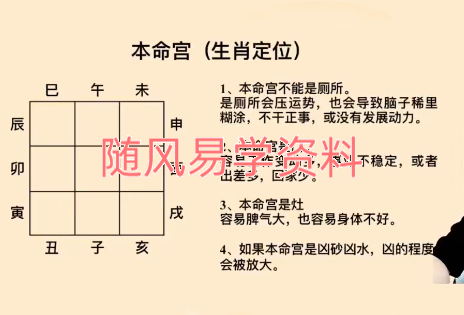 国继文    2026人居环境解读 8集视频（长视频，一集几小时）